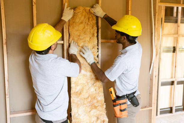 Best Local Insulation Services  in Ravenel, SC