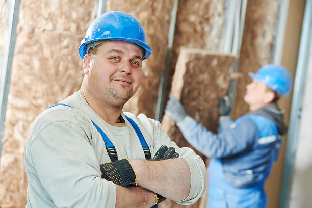 Best Insulation Replacement Services  in Ravenel, SC