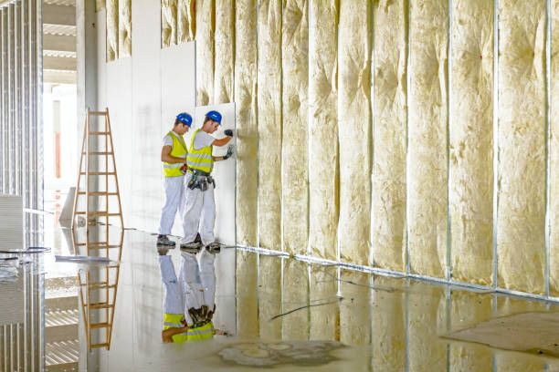 Best Insulation for New Construction  in Ravenel, SC